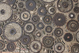 Pavement texture with gears in Montjuic, Barcelona