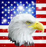 American eagle flag