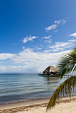 Tropical Belize