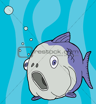 Large Fish Underwater