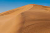 Dune 7