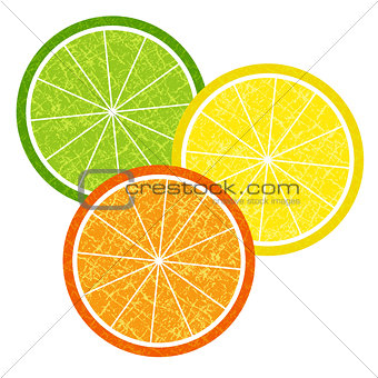 Colorful citrus slices set
