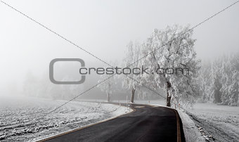 winter Road going in to the fog