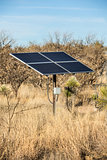 Desert Solar Panels