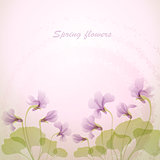 Spring violet flowers. Tender background.
