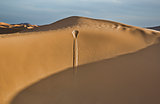 Sand fall