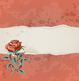 Background with torn paper and rose