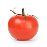 one ripe red tomato