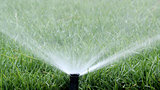 Automatic Garden Irrigation Spray watering lawn