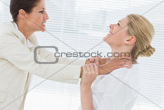 Businesswomen having a violent fight in office