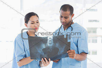 Two surgeons examining xray