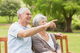 Side view of a senior couple at the park