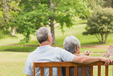 Rear view of senior couple sitting on bench at park