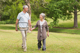 Happy senior couple holding hands and walking in park