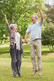 Active senior couple holding hands and jumping in park