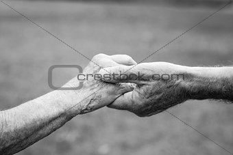 Elderly couple holding hands