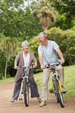 Cheerful senior couple on cycle ride in countryside