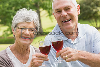 Portrait of senior couple toasting wine glasses at park