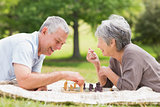 Happy senior couple playing chess at the park