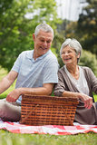 Smiling senior couple with picnic basket at park