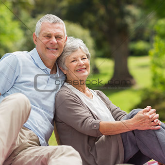 Smiling senior couple sitting at park