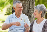 Happy senior couple toasting champagne flutes at park