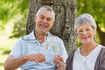 Portrait of happy senior couple toasting champagne at park