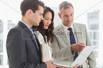 Business team looking at laptop together