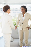 Businesswomen meeting and shaking hands