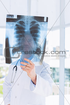 Closeup of a male doctor examining x-ray