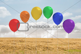 Balloons above a field