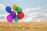 Balloons above a field