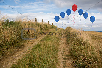 Balloons above sand dunes