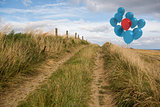Balloons above sand dunes