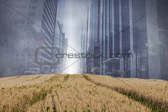 Cityscape projection over yellow fields