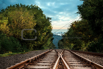 Railway tracks in the middle of a forest