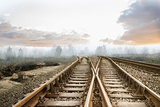 Railway tracks leading to misty forest