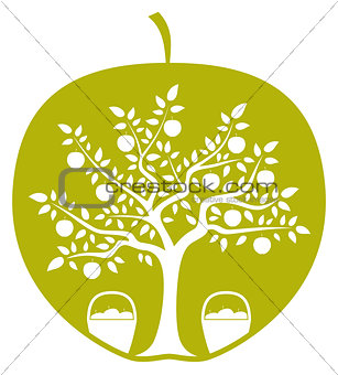 apple tree in apple