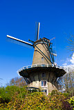 Windmill in Alkmaar