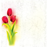 abstract grunge background with tulips