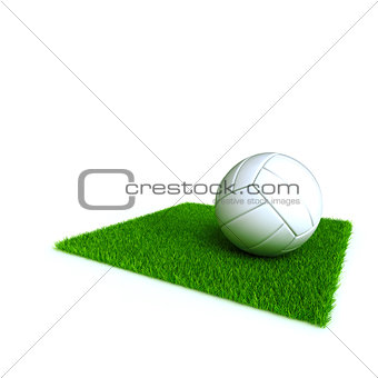 voleyball on a lawn from a green bright grass on a white background