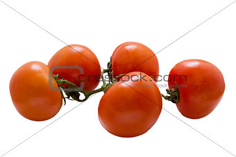 Tomato on white .