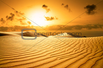 Gold desert. Sunset beach.