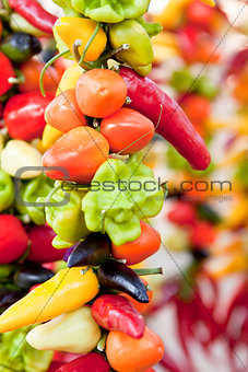 collection of different colorful pepper on market