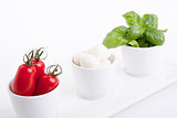 tasty tomatoe mozzarella salad with basil on white 