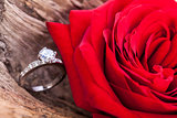 beautiful ring on wooden background and red rose