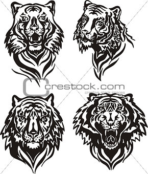 tiger heads