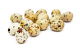 Raw quail eggs