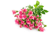 Bouquet pink rose with green leaf