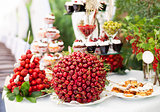 Sweet bar with berries and cakes on a wedding outdoors